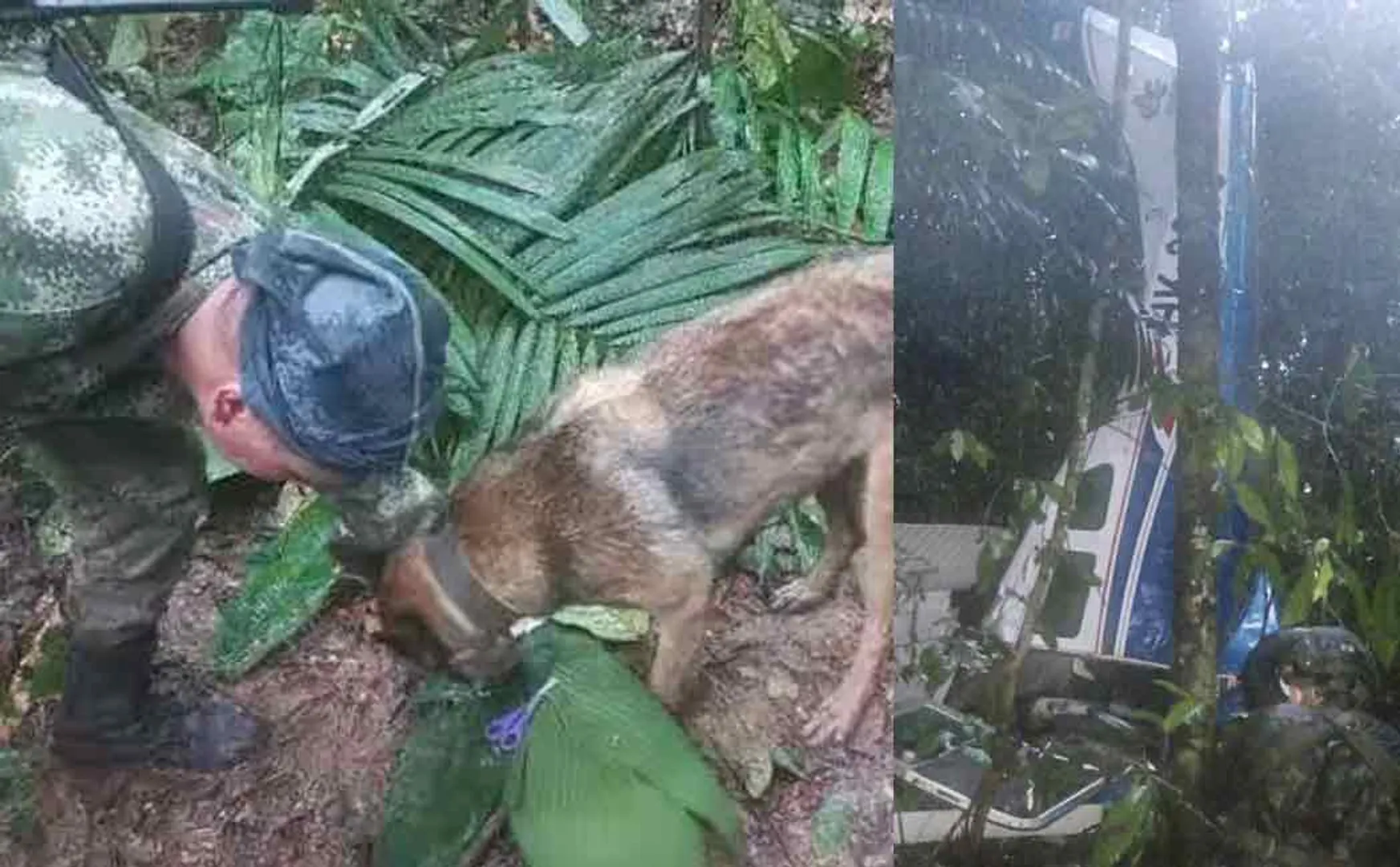 amazon forest flight incident four child recover safety