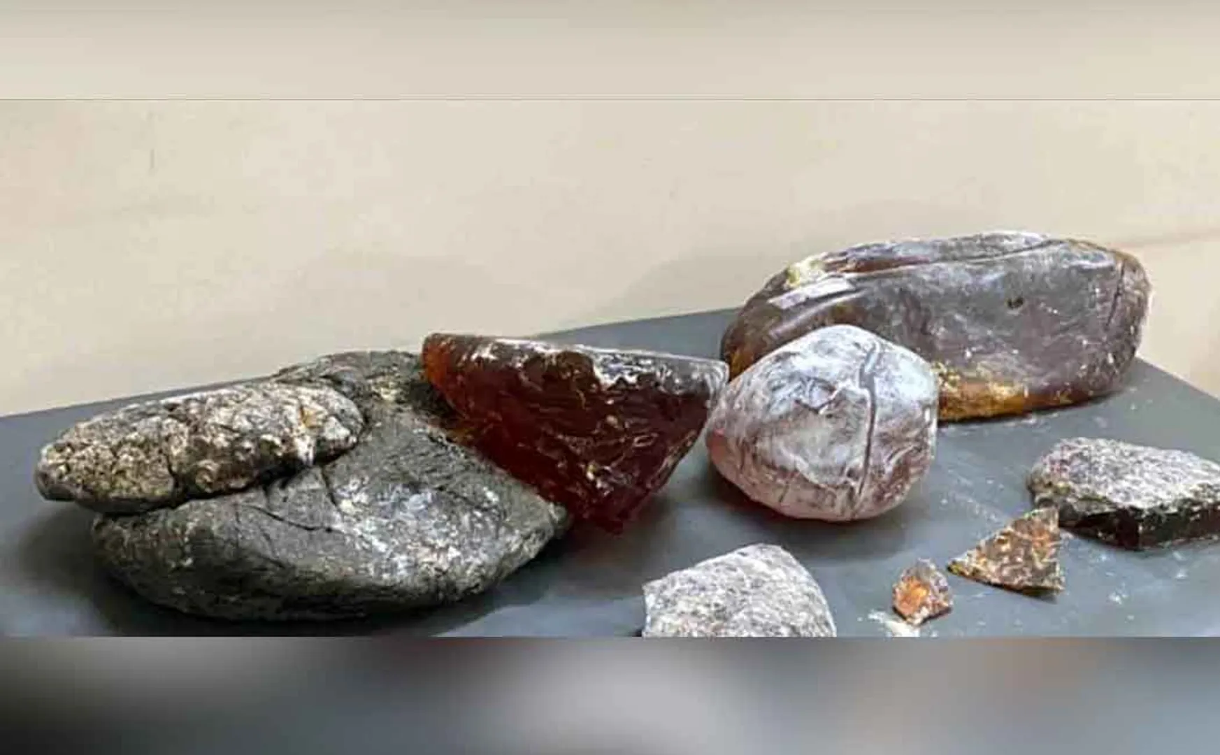  Amber grease worth Rs. 32 crore seized! Former ADMK 4 people including the councilor were arrested