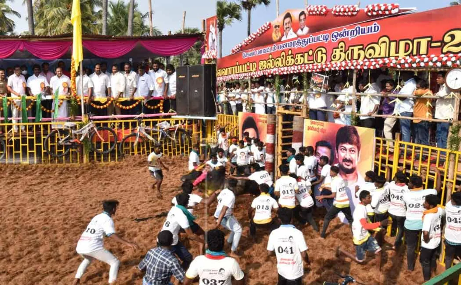 Jallikattu festival in Salem