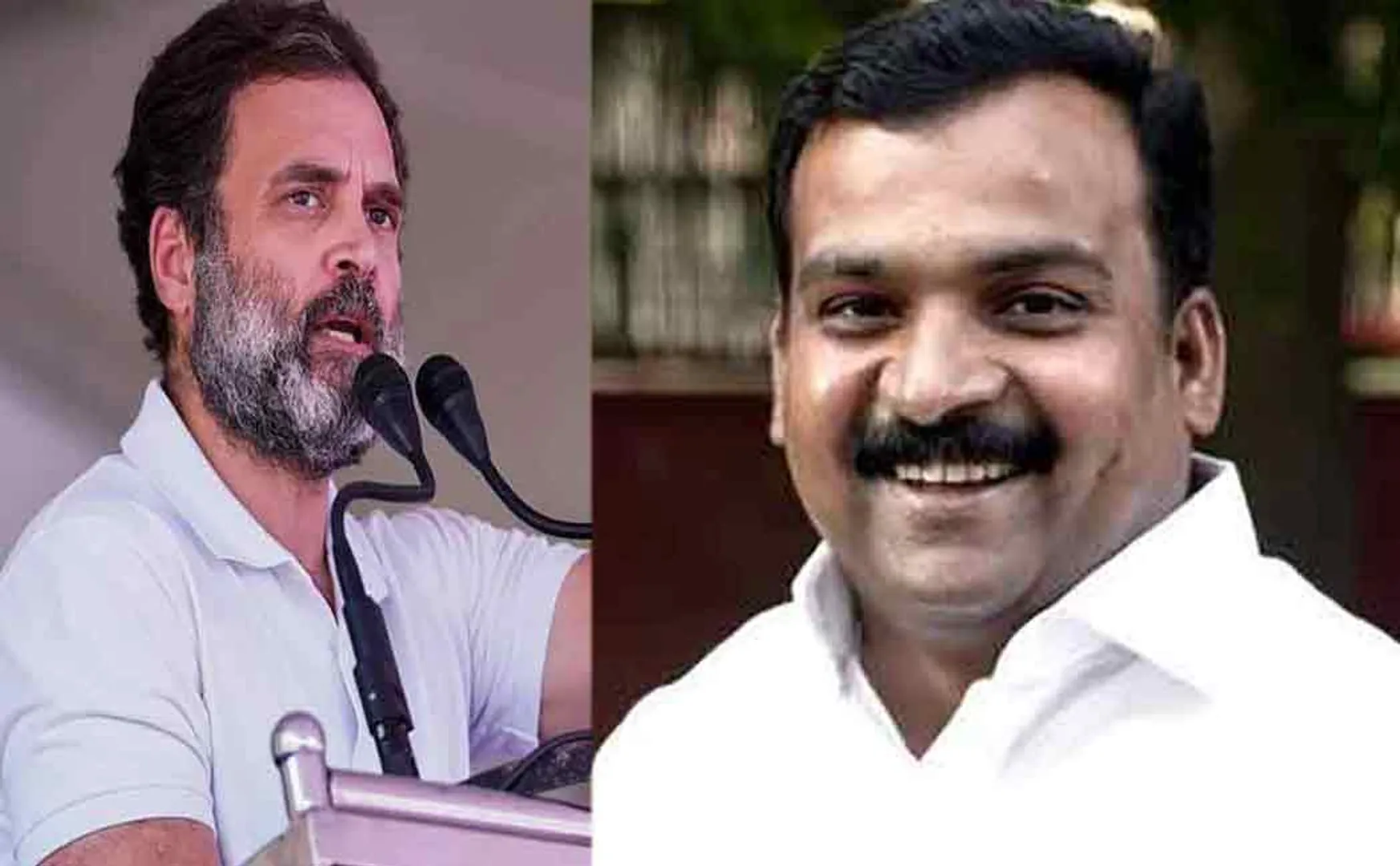 manickam tagore mp tweet congress pm candidate rahul gandhi survey result 
