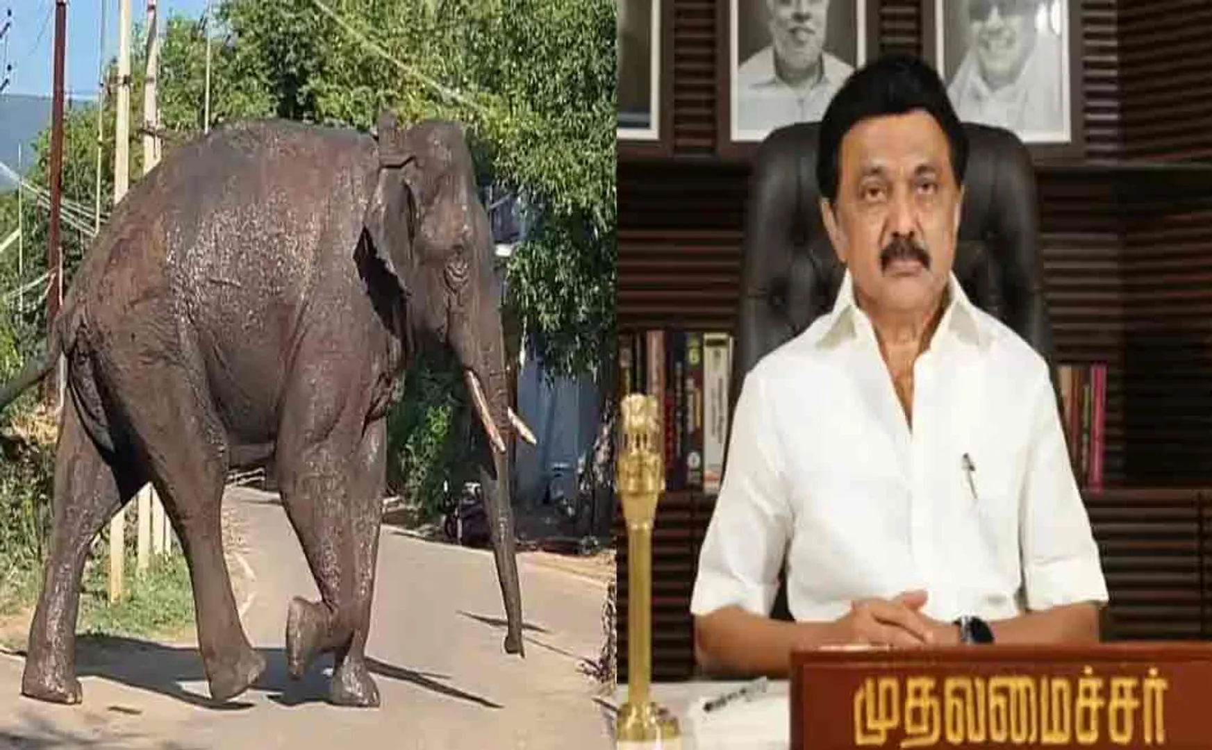 The Tragedy Caused by the arisikomban; Chief Minister relief