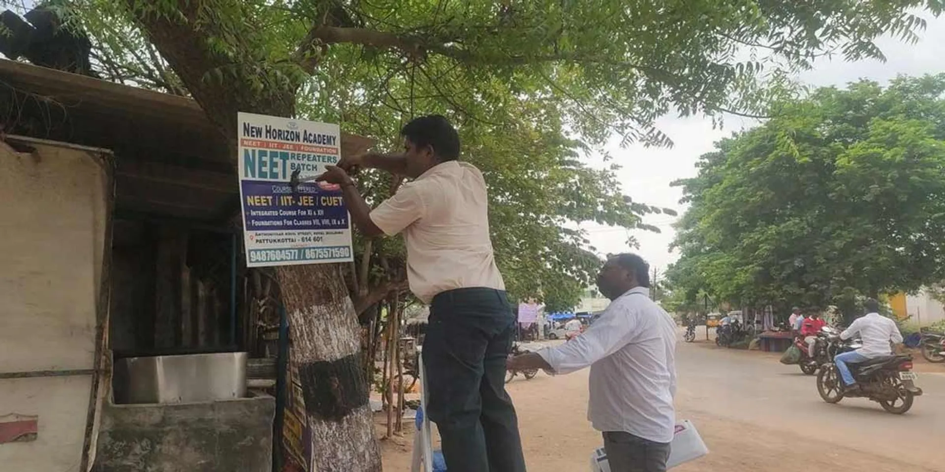  'Trees are also life... Don't kill them with nails...' Young people stuck nails in roadside trees