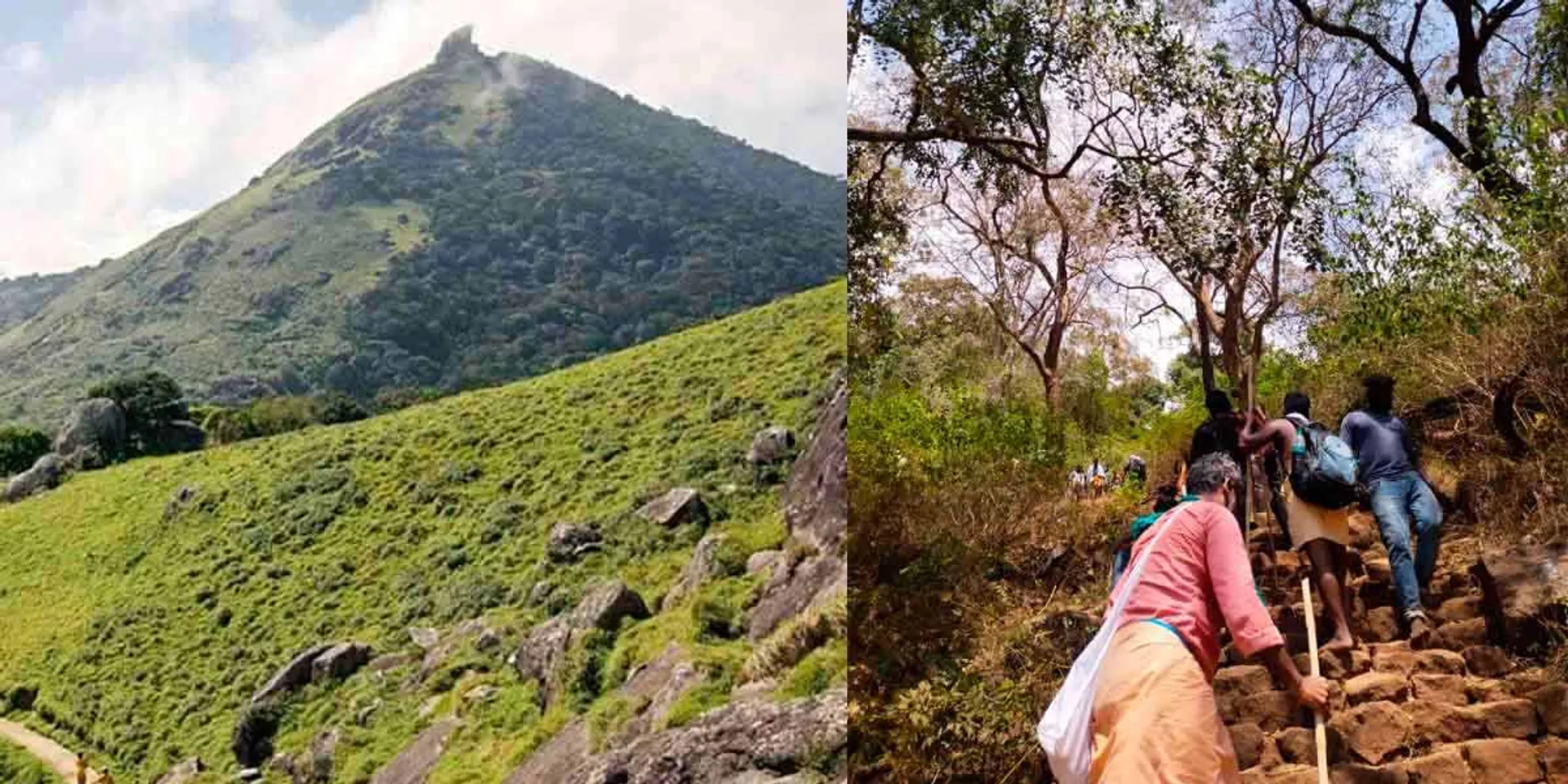  'No one should come to Velliangiri for mountain climbing' - Forest department announcement