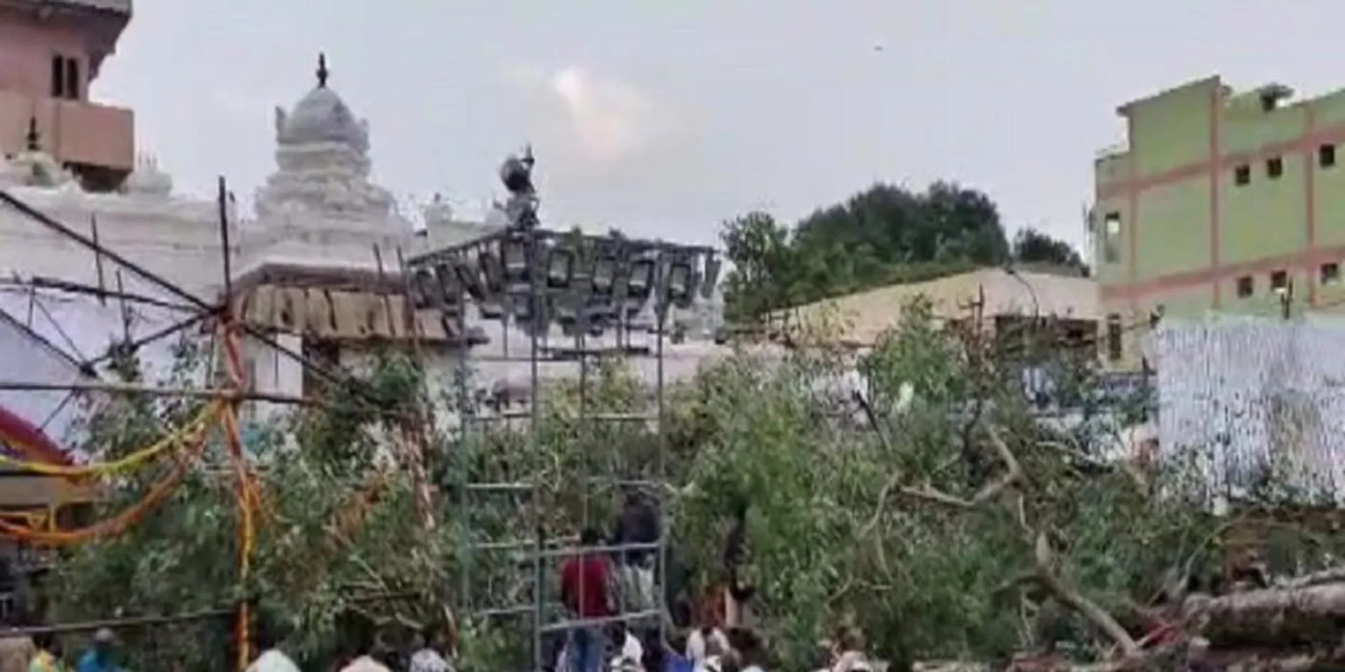 Tree falling accident in Tirupati temple; One person was Lose their live