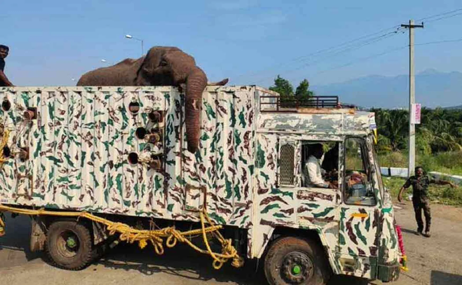 arisi komban elephant happy theni kambam suruli tourist