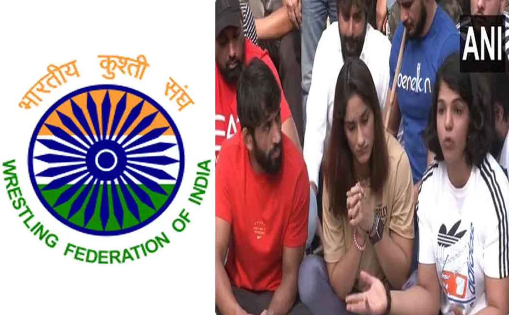 world wrestlers organisation ready indian wrestlers