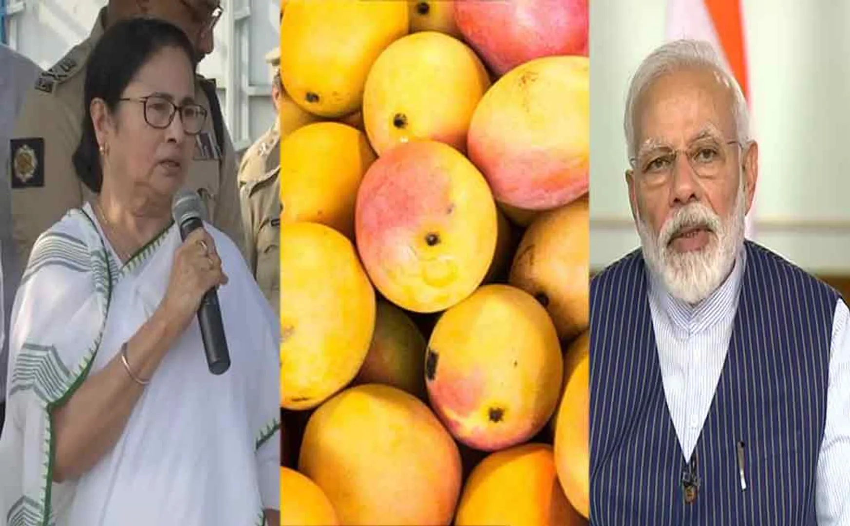 mamta banerjee gives mango gift for narendra modi