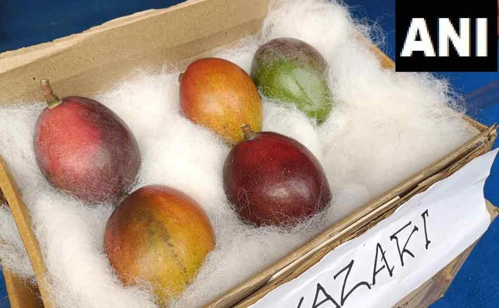 miyazaki mango per kilo 2 lakh 75 thousand rupees