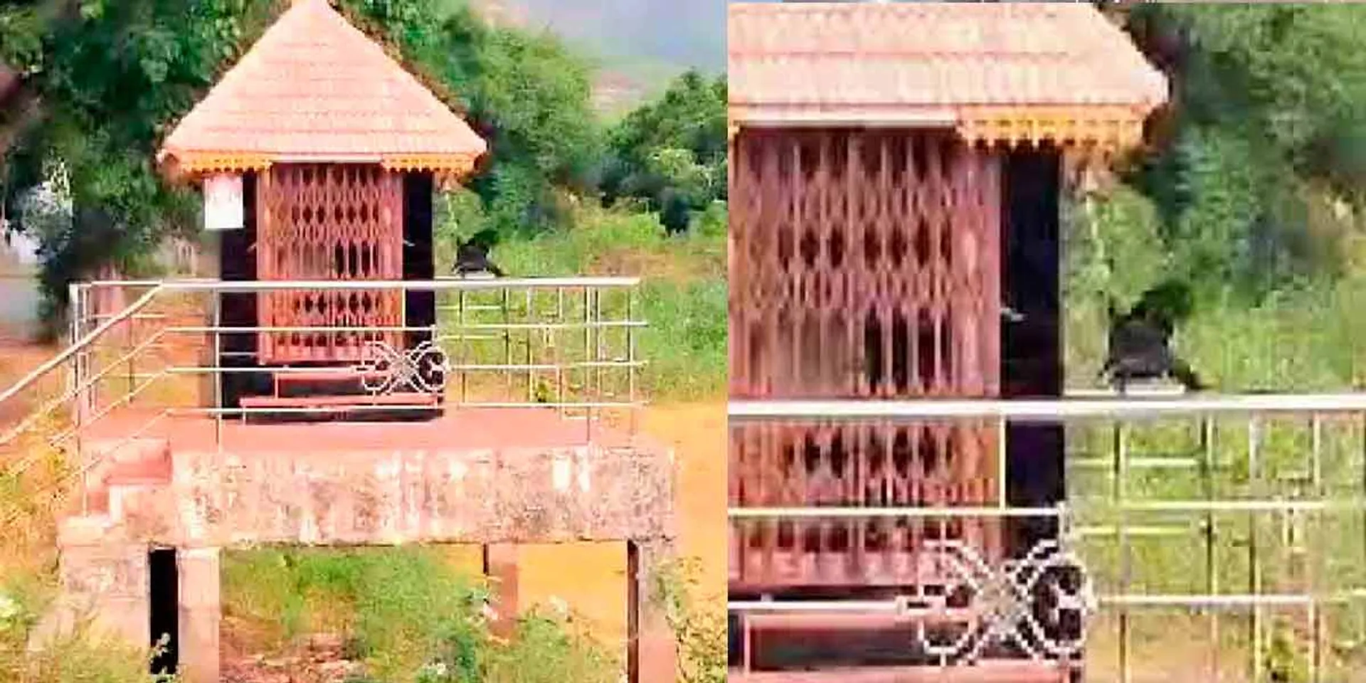 A bell-ringing crow in the Ganesha temple; People marveling at the strange phenomenon