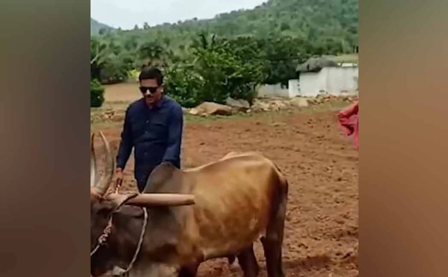 vellore collector viral video
