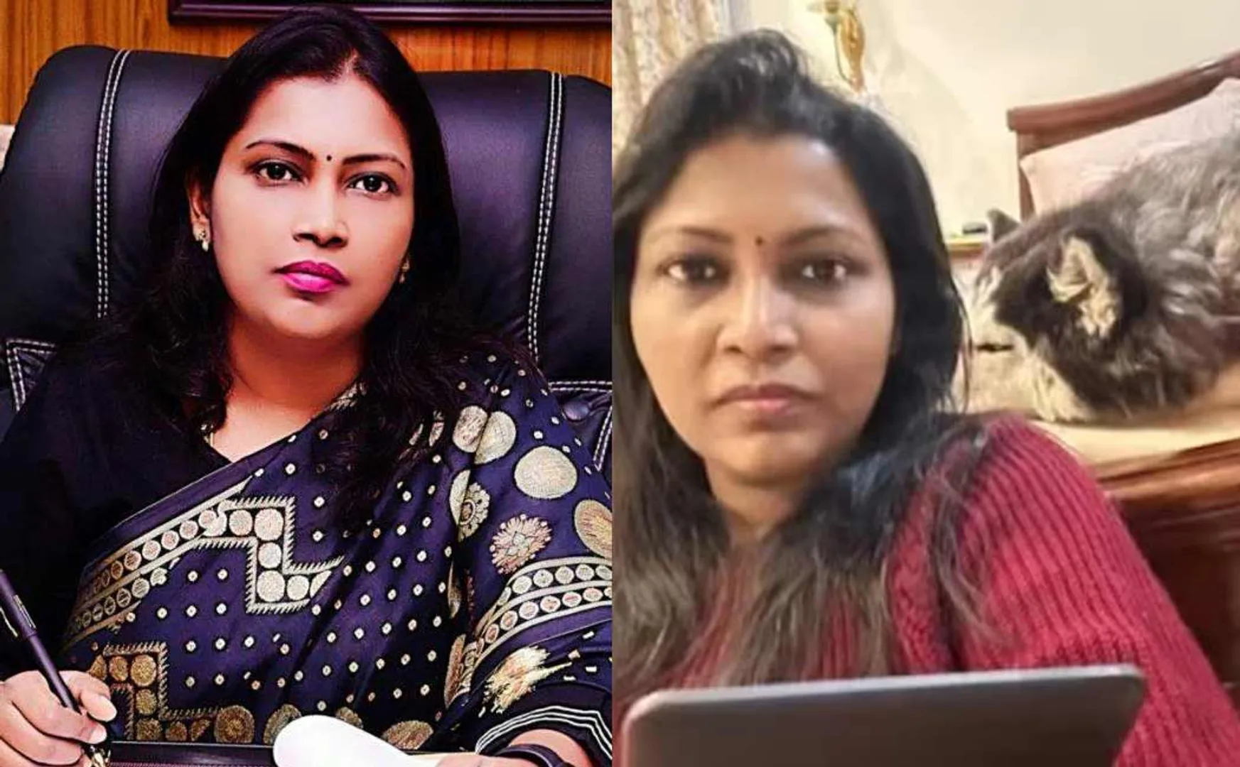 Meerut City Commissioner SelvaKumari police were used after dog went missing