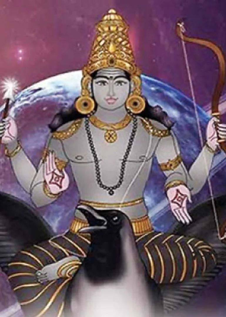 /idhalgal/balajothidam/saturn-12-bhavas-meena-lagna