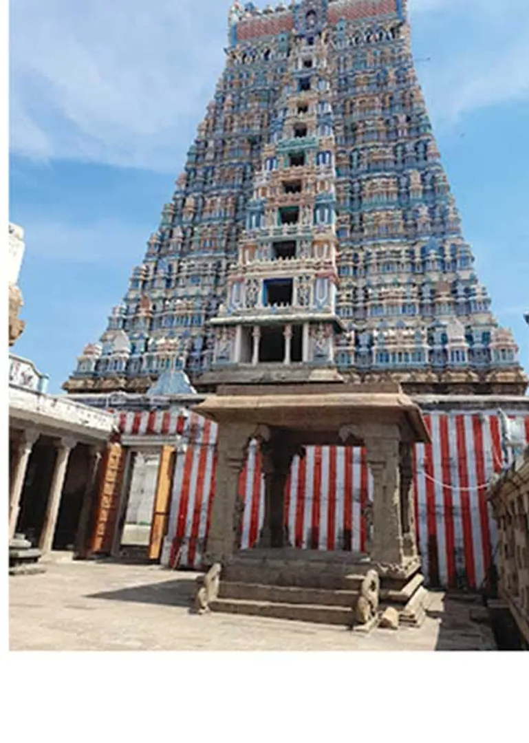 /idhalgal/om/siddhar-sang-perumal-many-years-dr-ira-rajeswaran