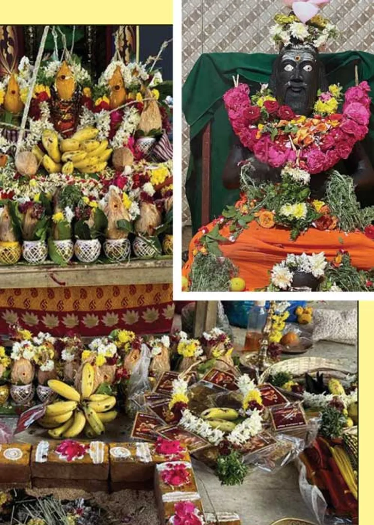 /idhalgal/om/perfectly-auspicious-bambatich-siddhar-temple