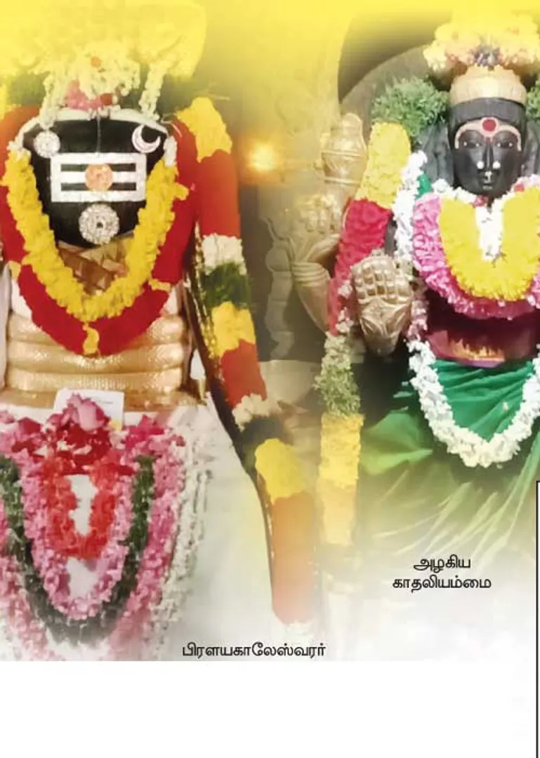 /idhalgal/om/pralayakaleshwarar-woman-who-understands-greatness-sp-shekhar