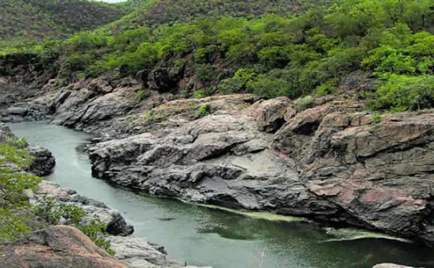 kaveri river management board tamil govt letter