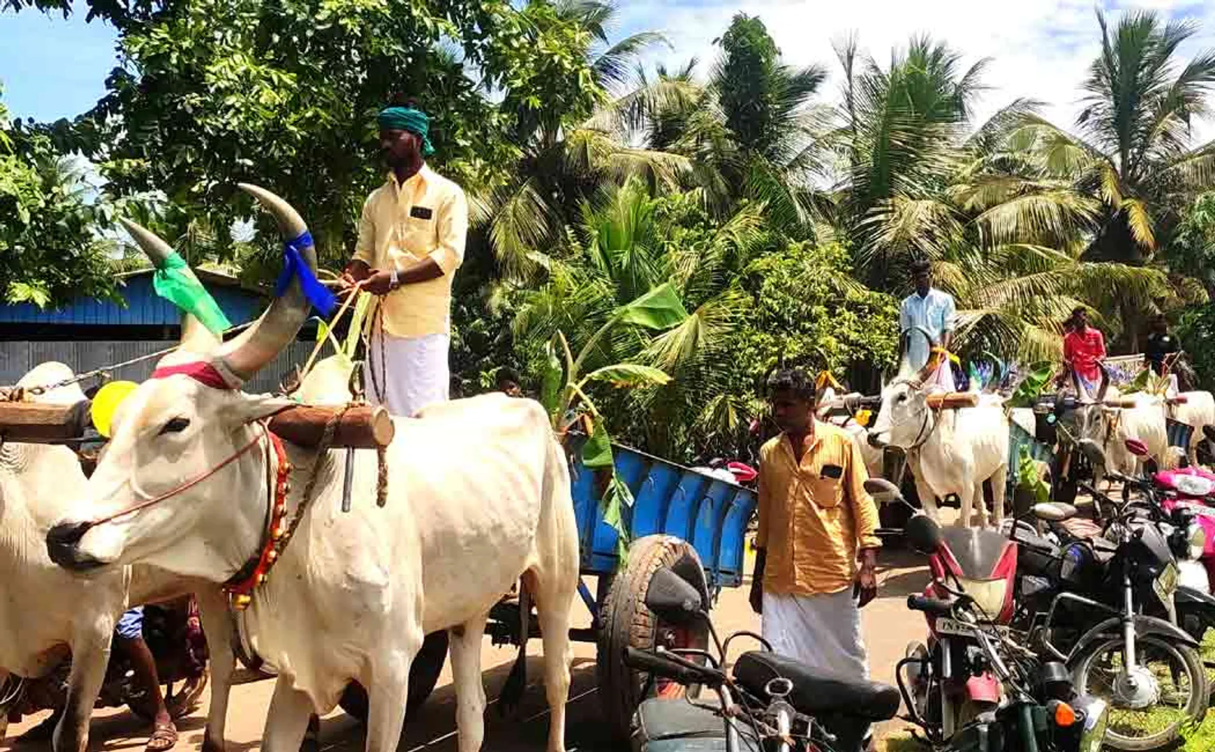 puthukottai person use tradition way in his family function 