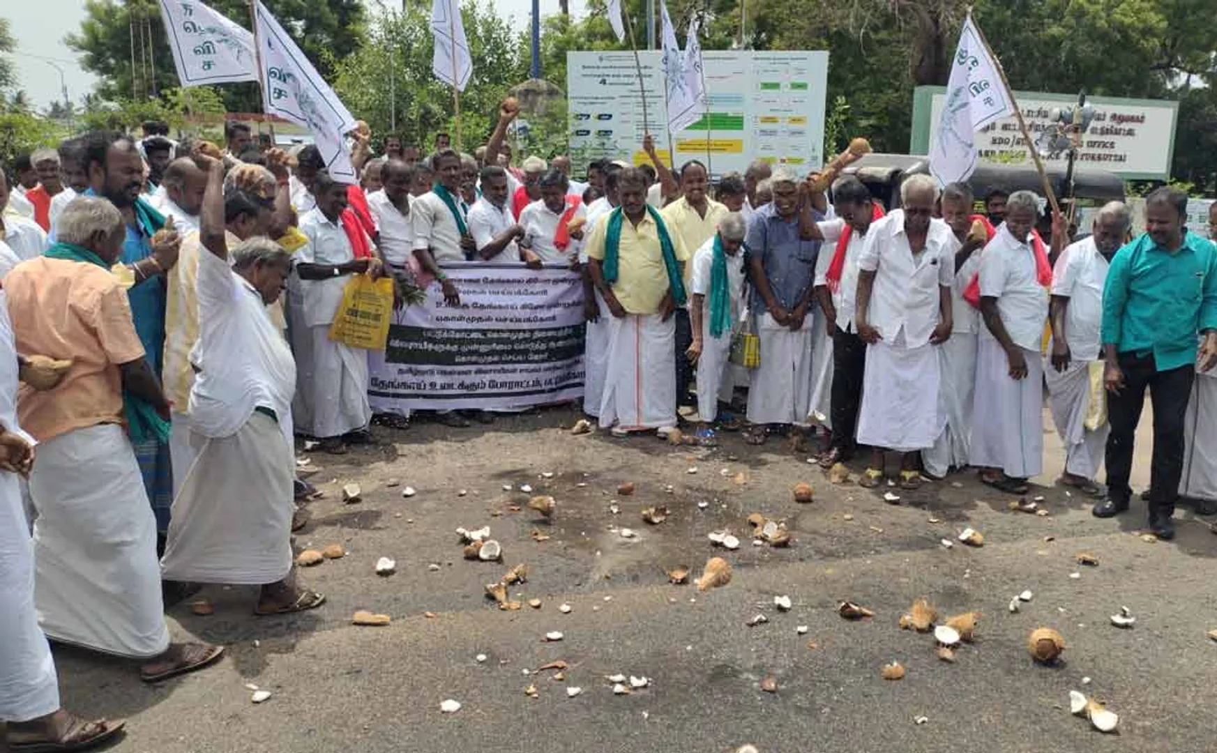 Farmers are struggle by breaking coconuts buy peeled coconut Rs. 50 per kg