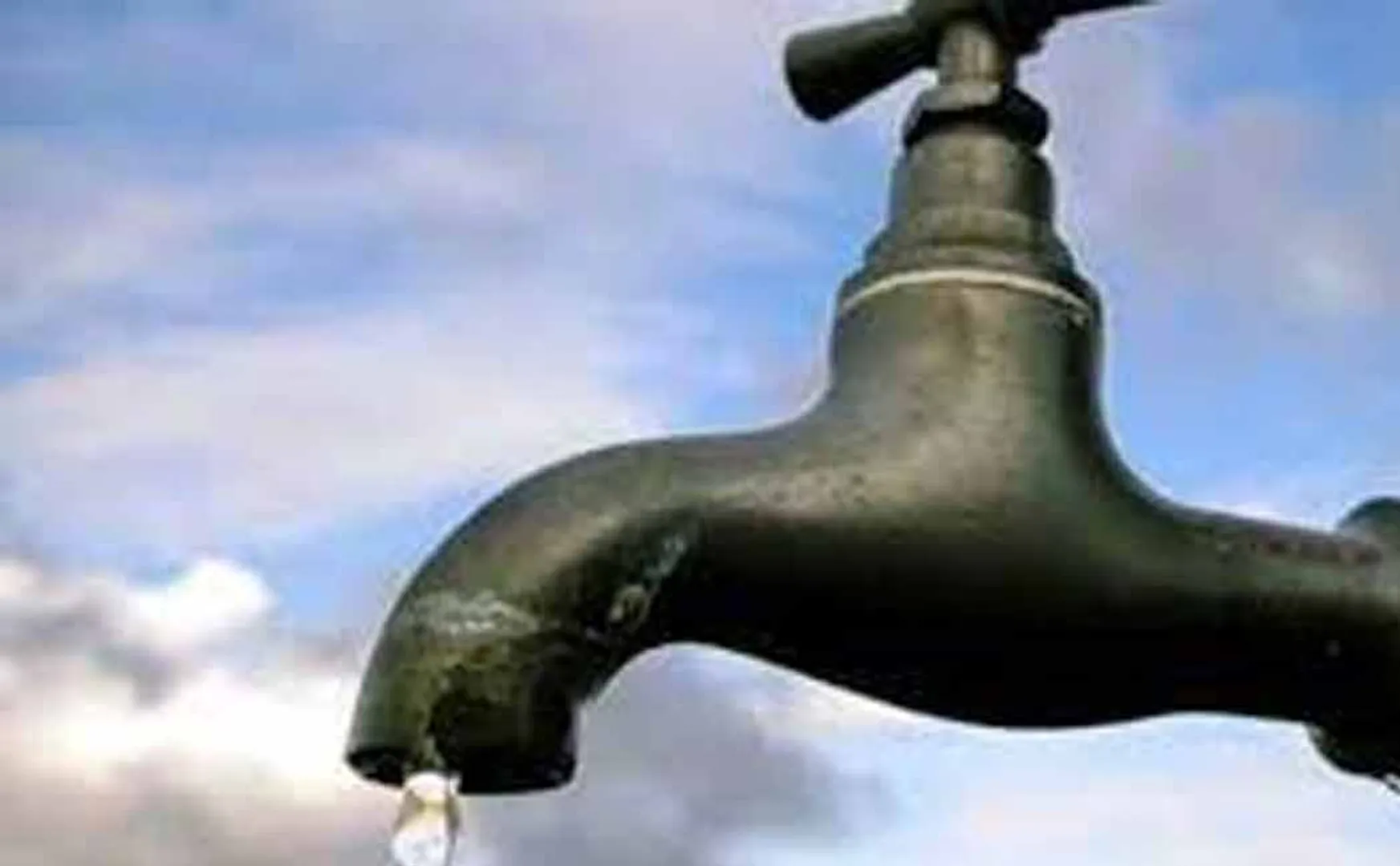 villagers drank the water where the squirrel and bad smell