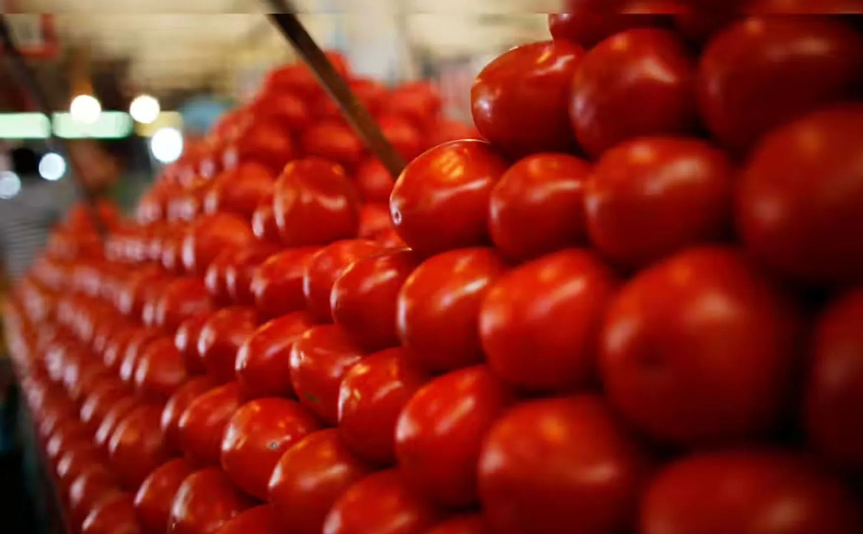 sunil shetty about tomatos 
