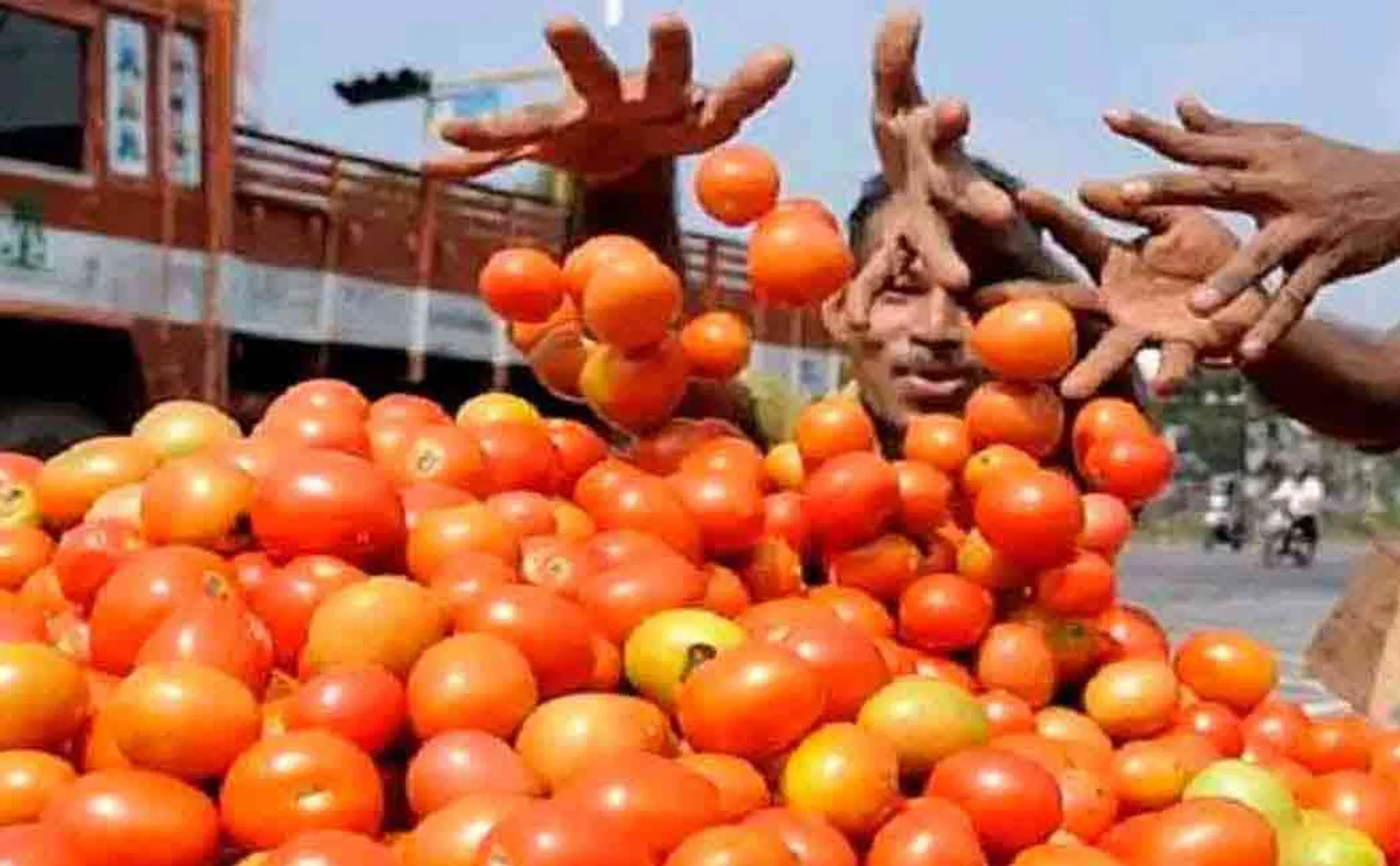 Tomato prices have dropped by Rs 20 per kg today 