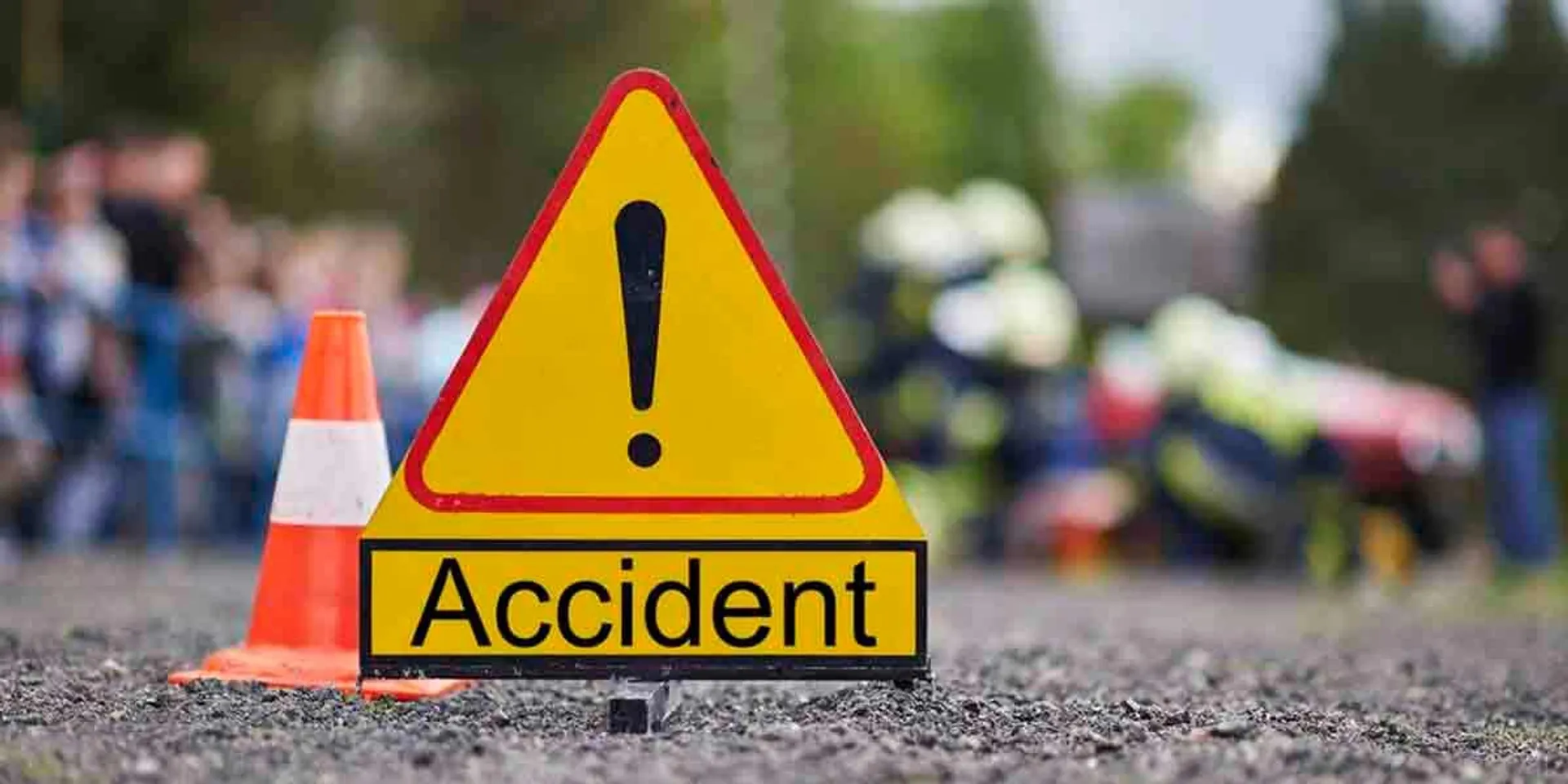 bike hits neem tree