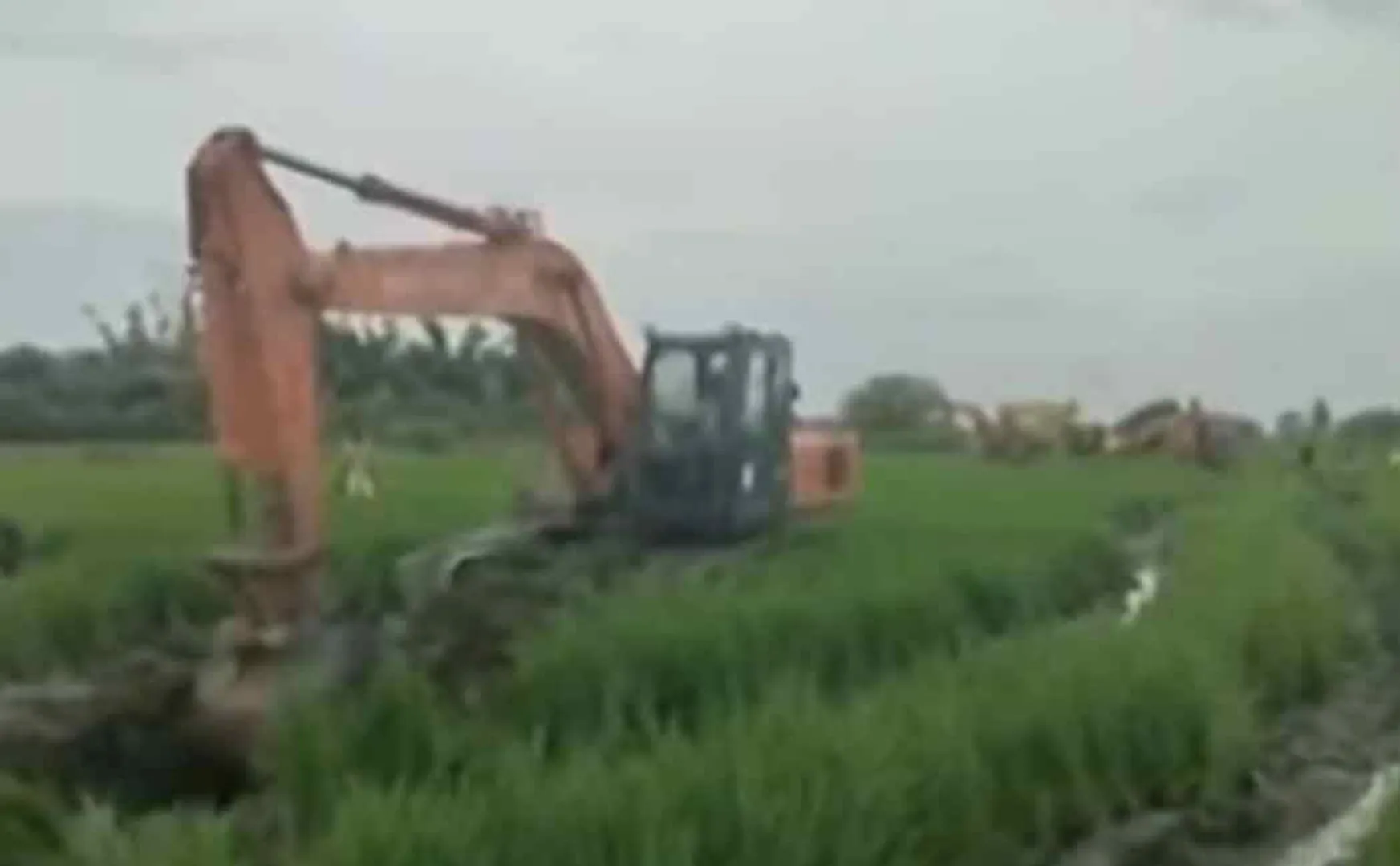 NLC has started the work of cutting the canal by the paddy crops