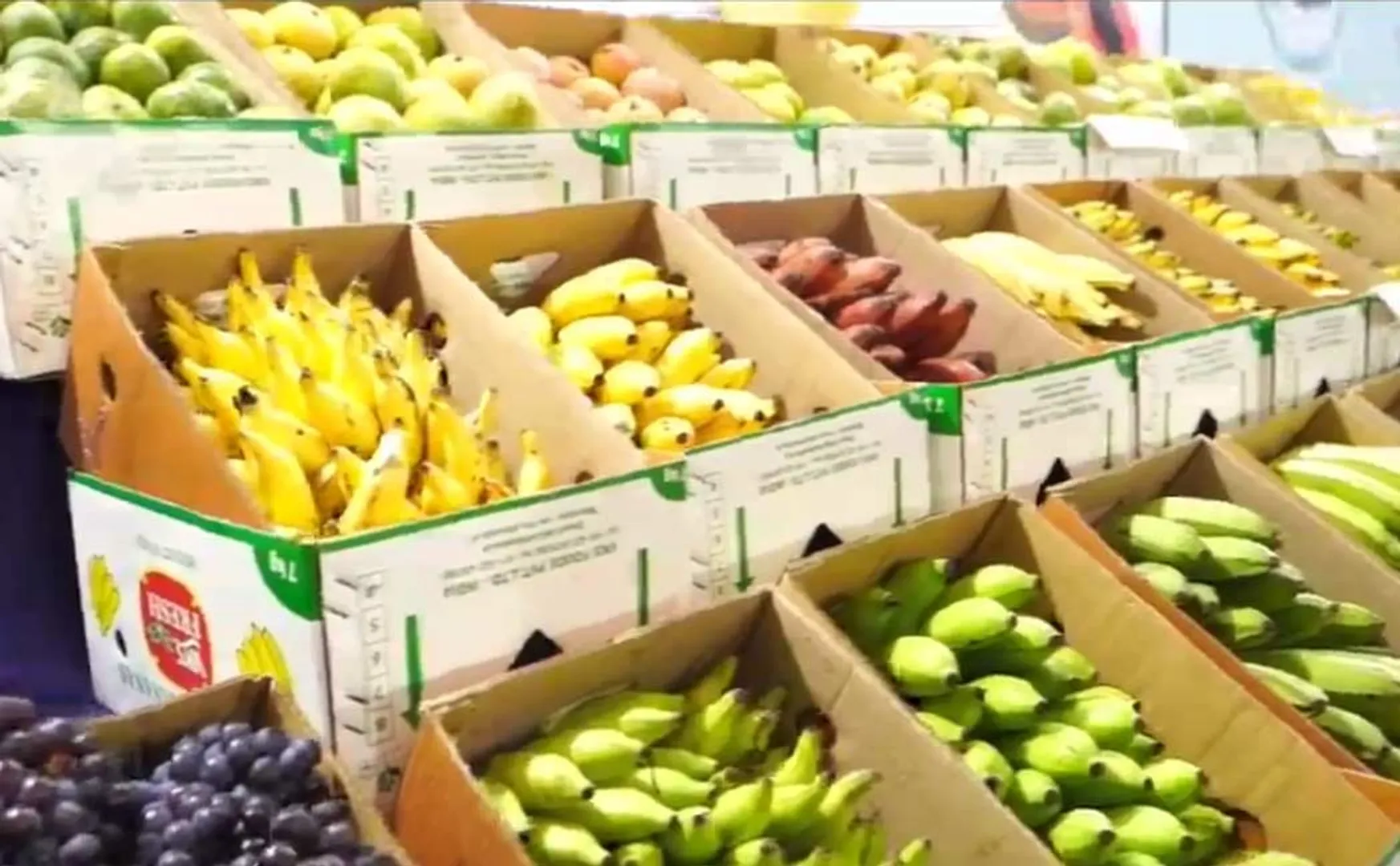 Agriculture Association Exhibition at Trichy; Preparations are intense