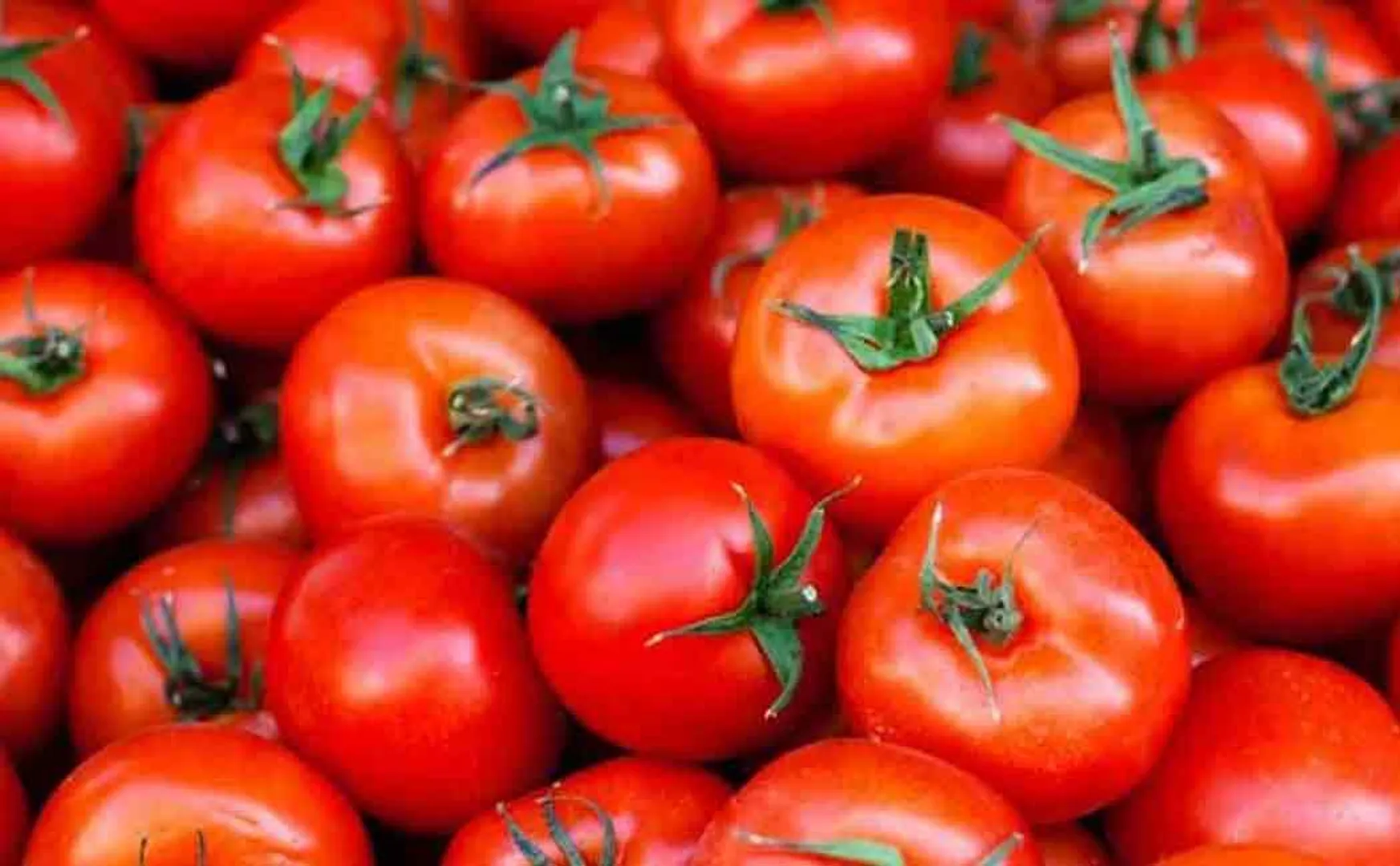 Stolen tomatoes in the store 
