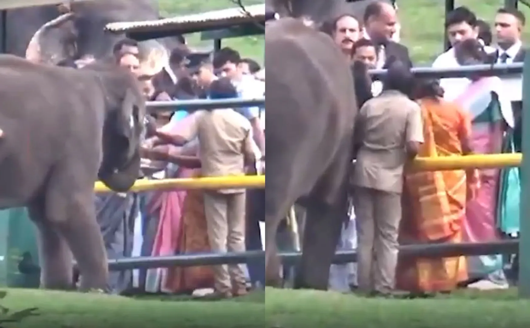 President draupadi Murmu met the couple Bomman and Belli