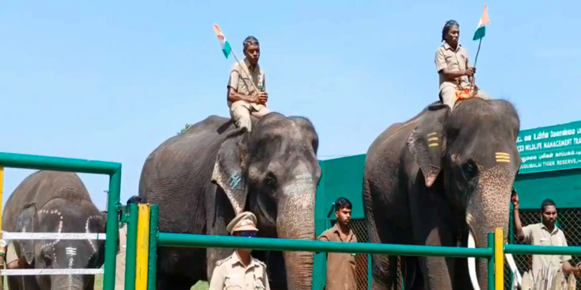 Independence Day Celebration at Theppakkad Elephant Breeding Camp