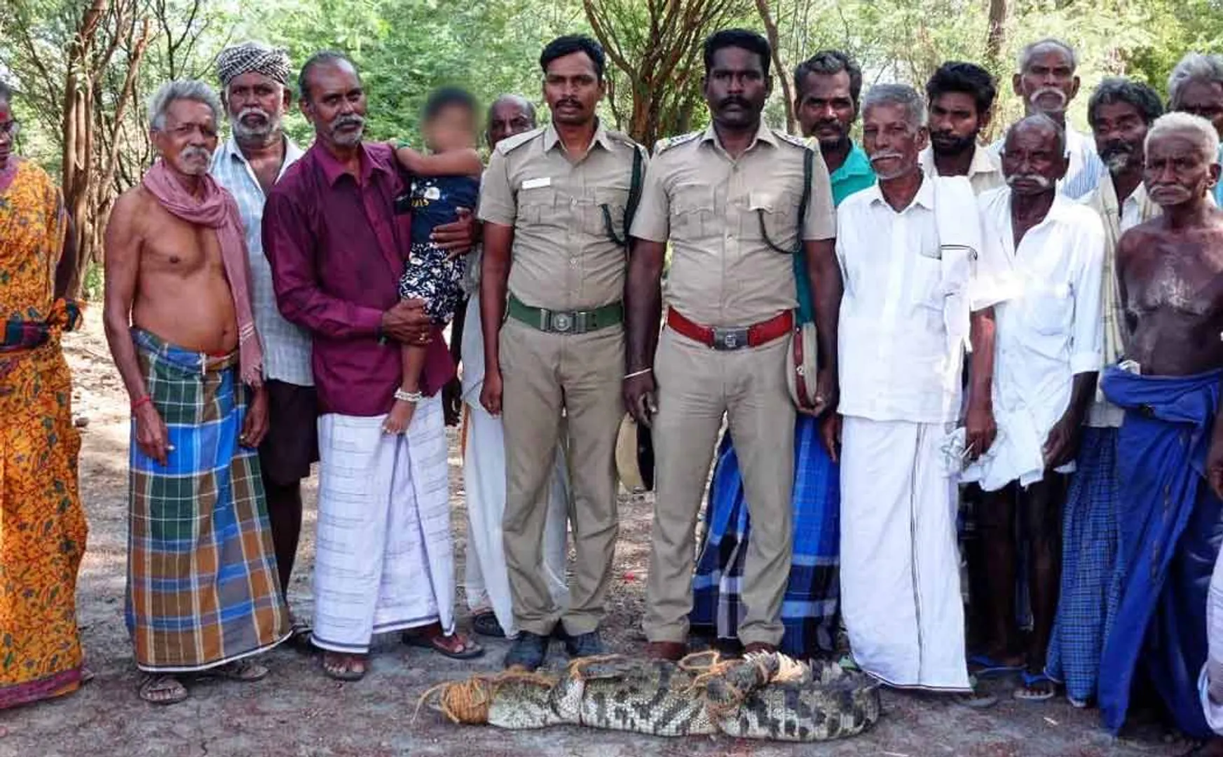Crocodile in pond near Kattumannarkoil