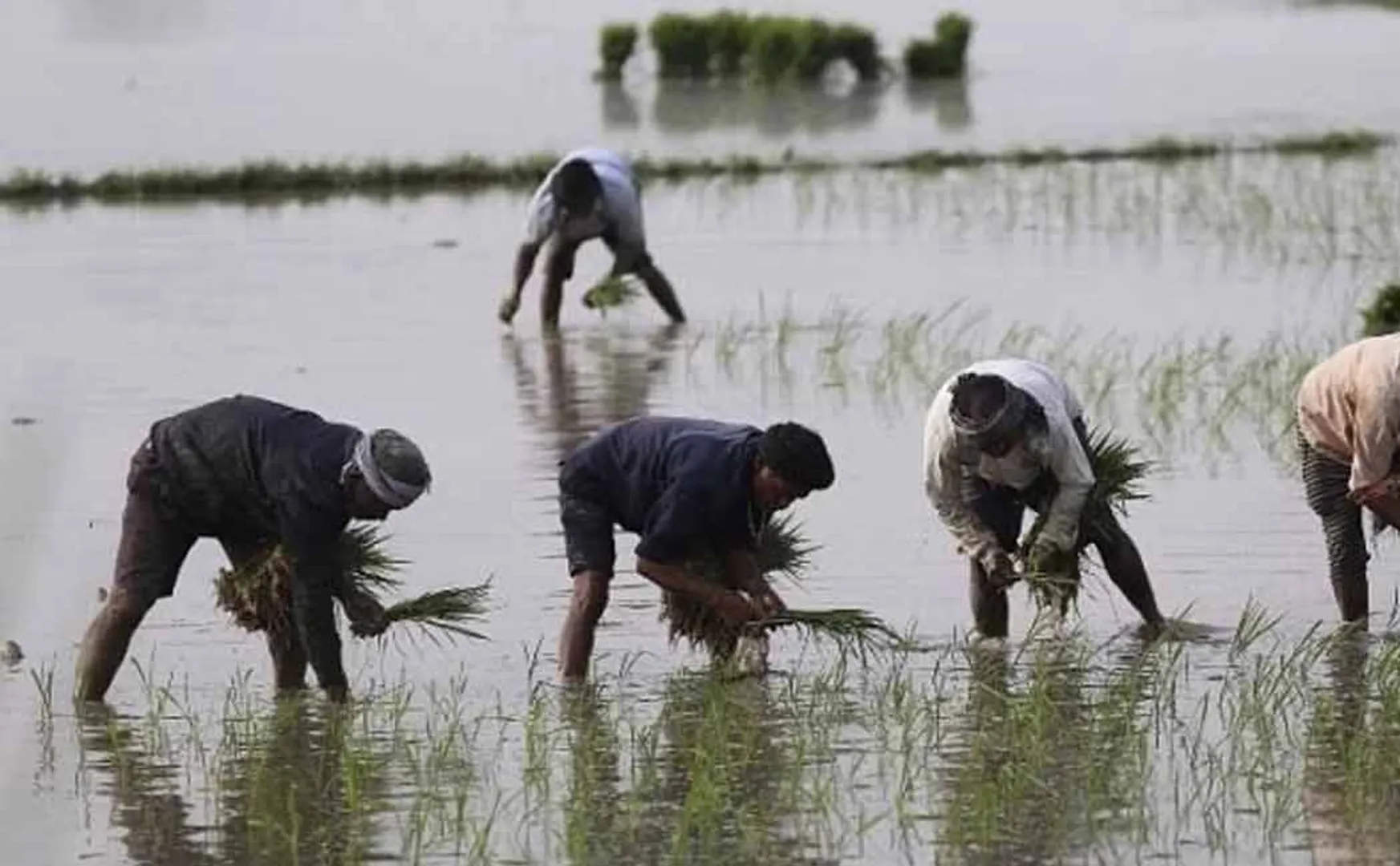 farmers said We will besiege the Erode Collector office as the water is not turned on