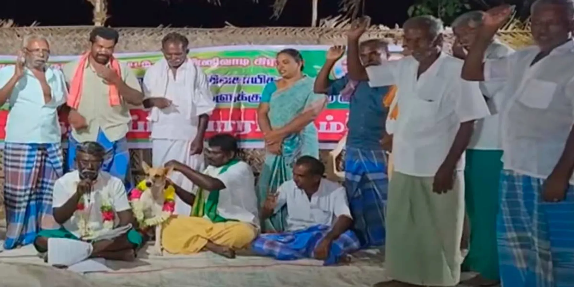  Marriage with a dog; Farmers struggle to attract attention