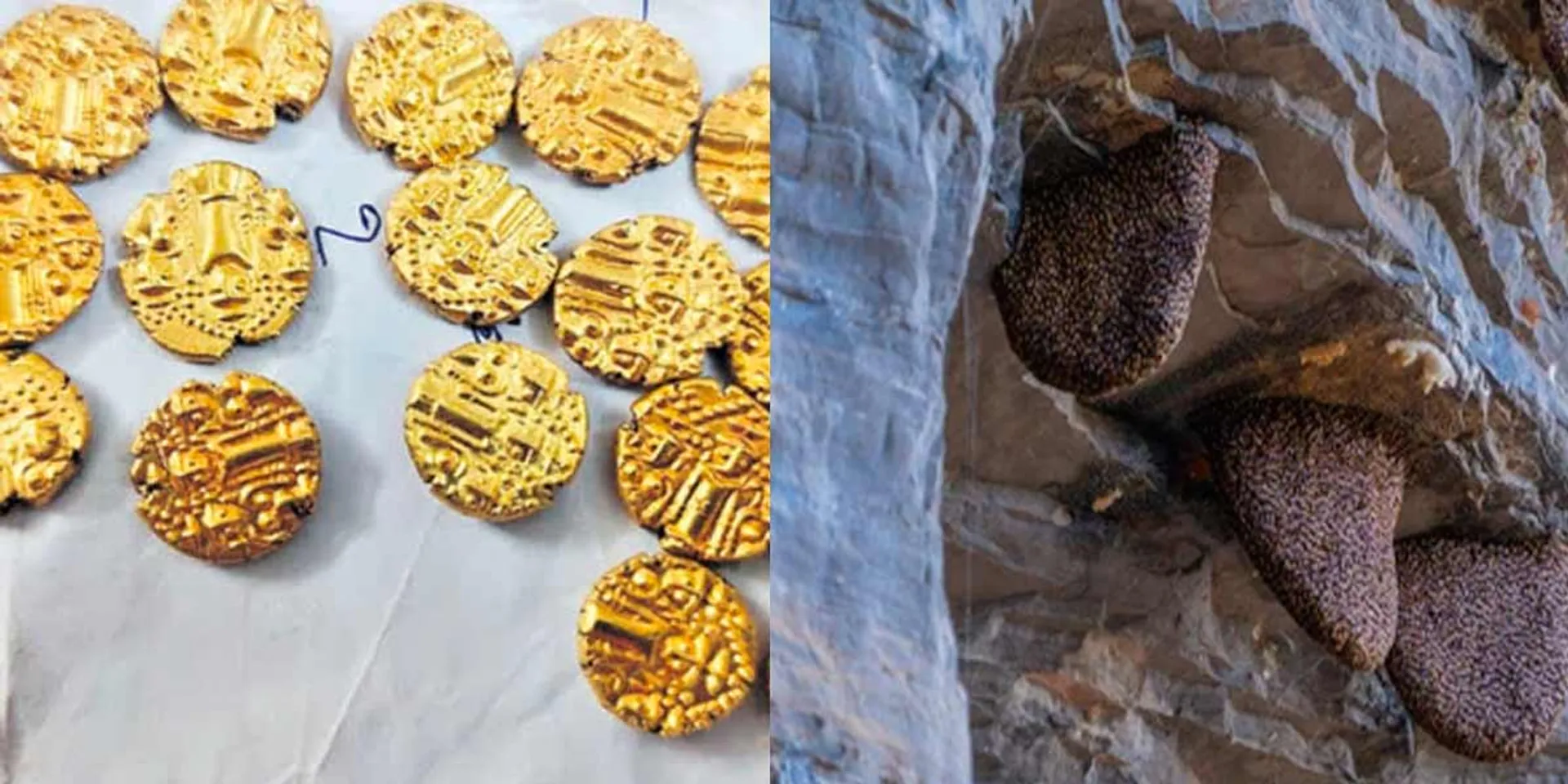 The treasure found when I went to collect honey; 3 youths arrested