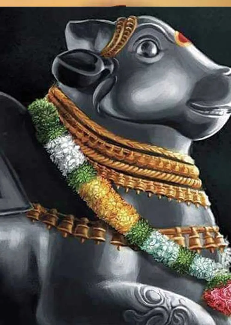 /idhalgal/balajothidam/kaerala-jaotaita-rakacaiyanakala-134