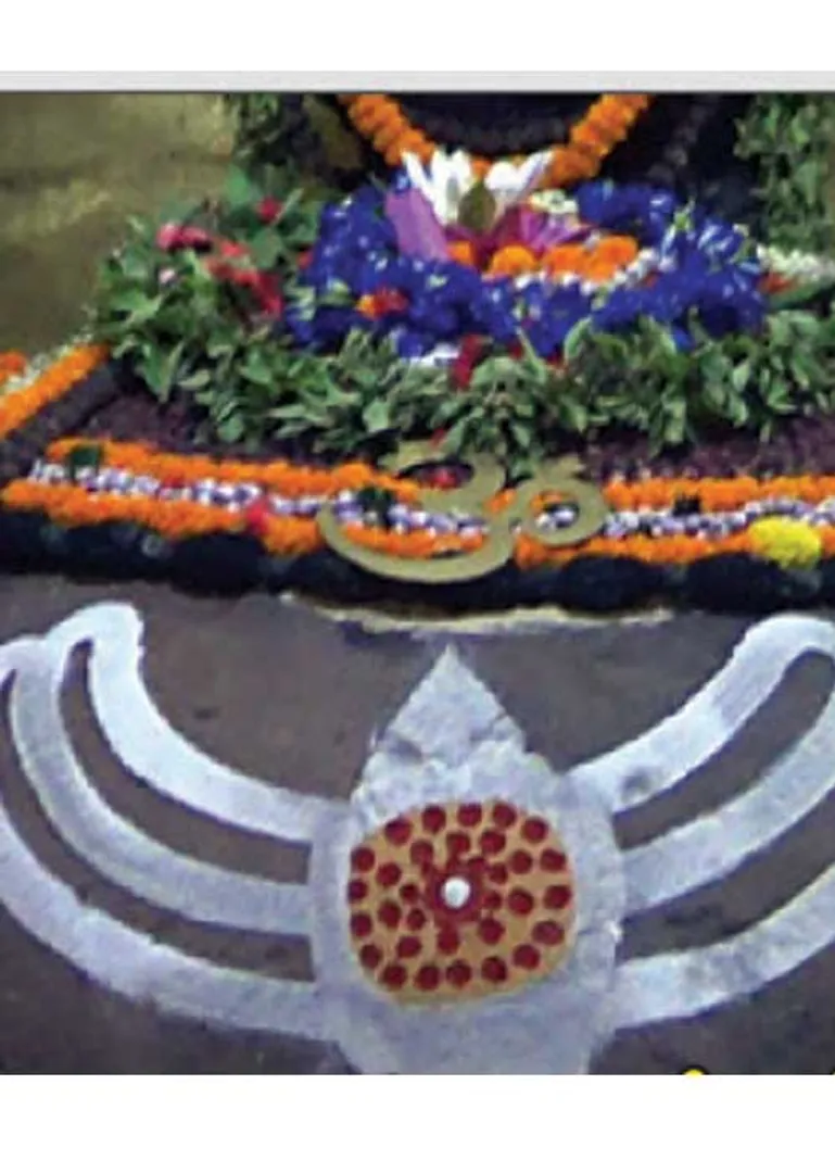 /idhalgal/balajothidam/healing-temple-vishu-iyer-2