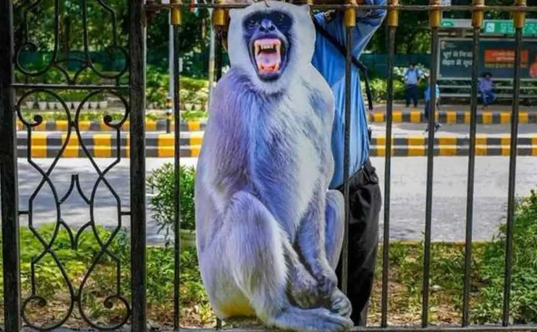 Monkey voice experts camped in Delhi! The surprise of the G 20
