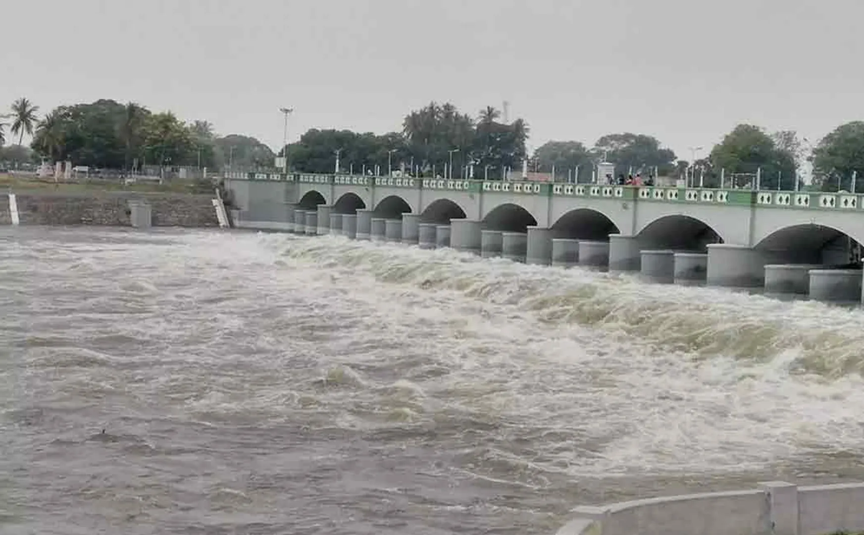 Karnataka government request for re-examination about Cauvery water issue