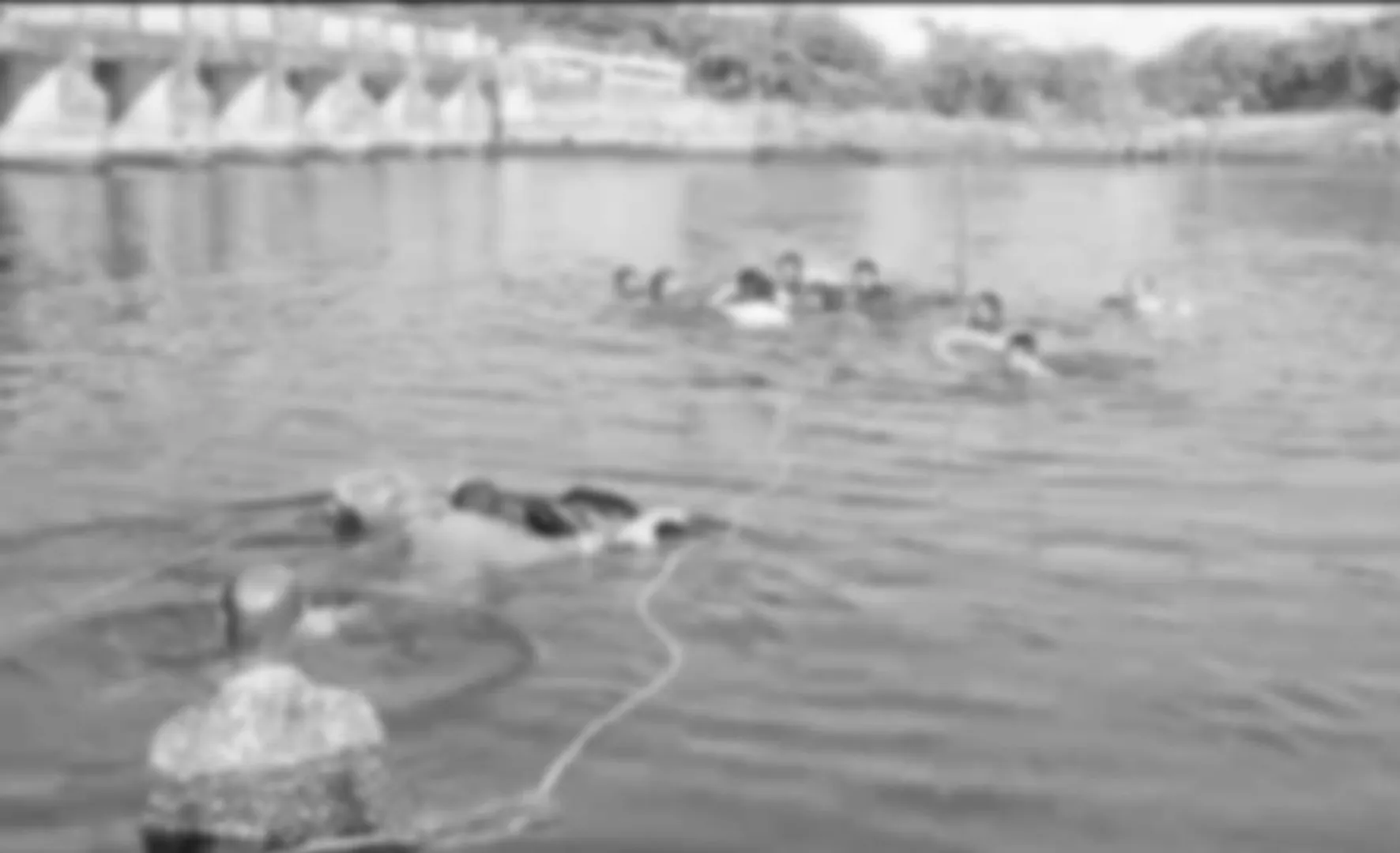 Woman drowned in water while learning to drive a car