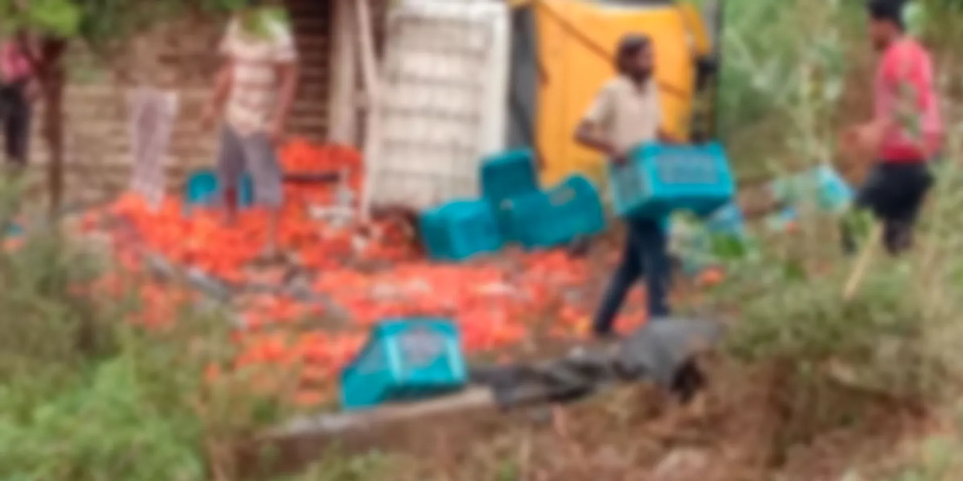  A van carrying tomatoes overturned in an accident - Tamil Nadu border traffic damage