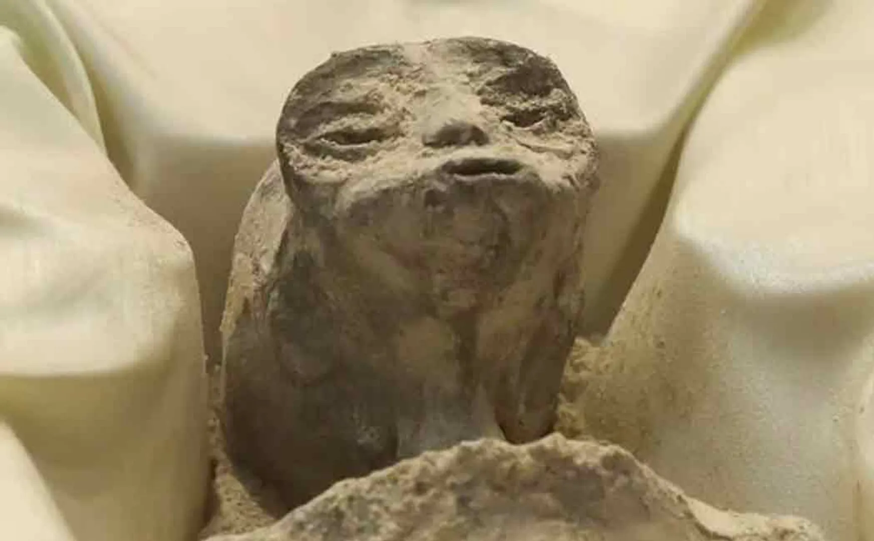 Shocking information released is 1000 year old Aliens bodies?