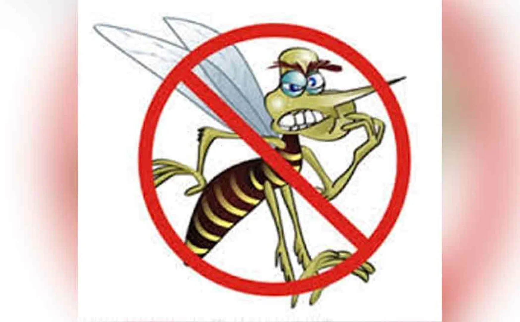 What are the measures to prevent dengue fever?