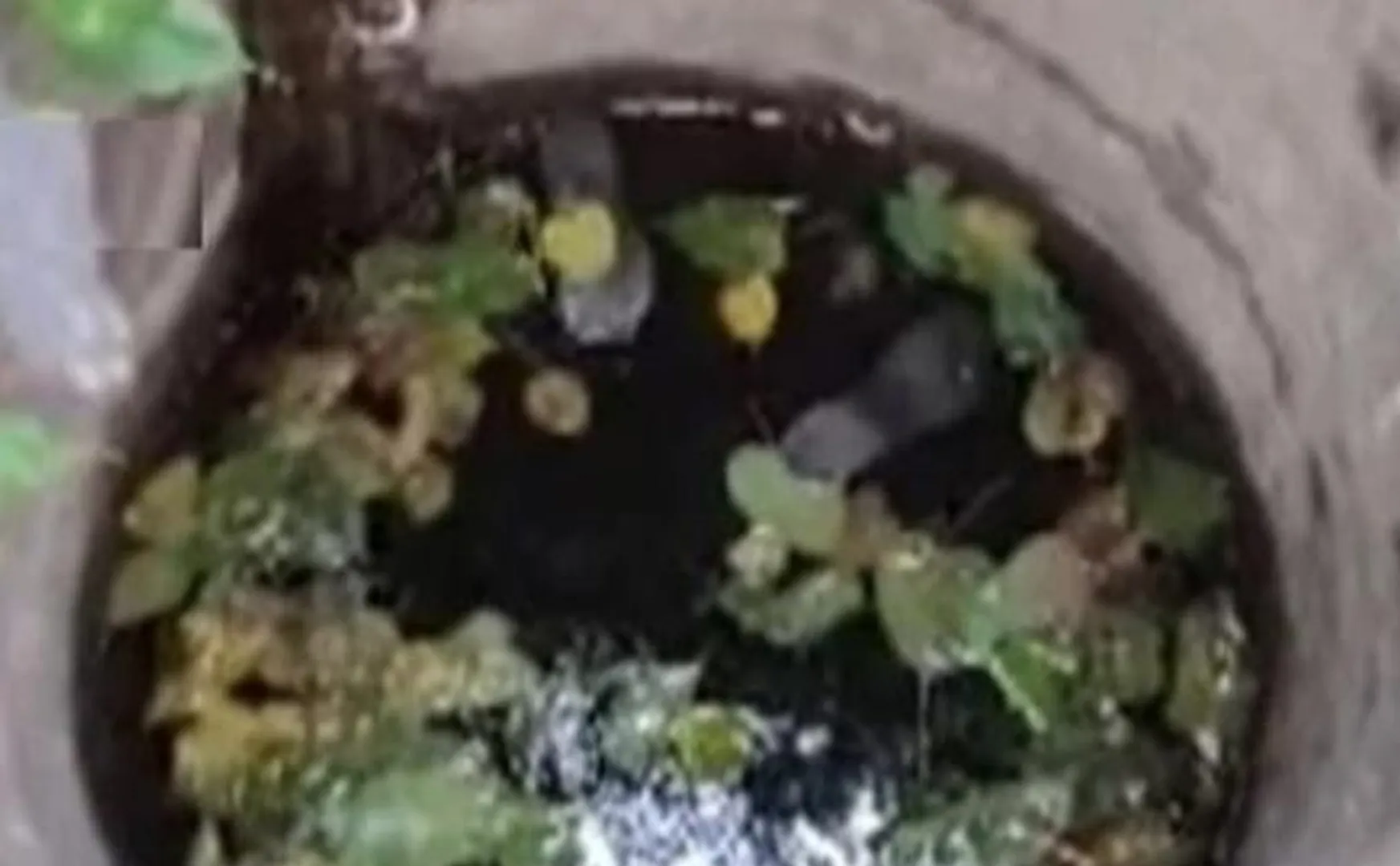  old woman who fell into a 100 feet well