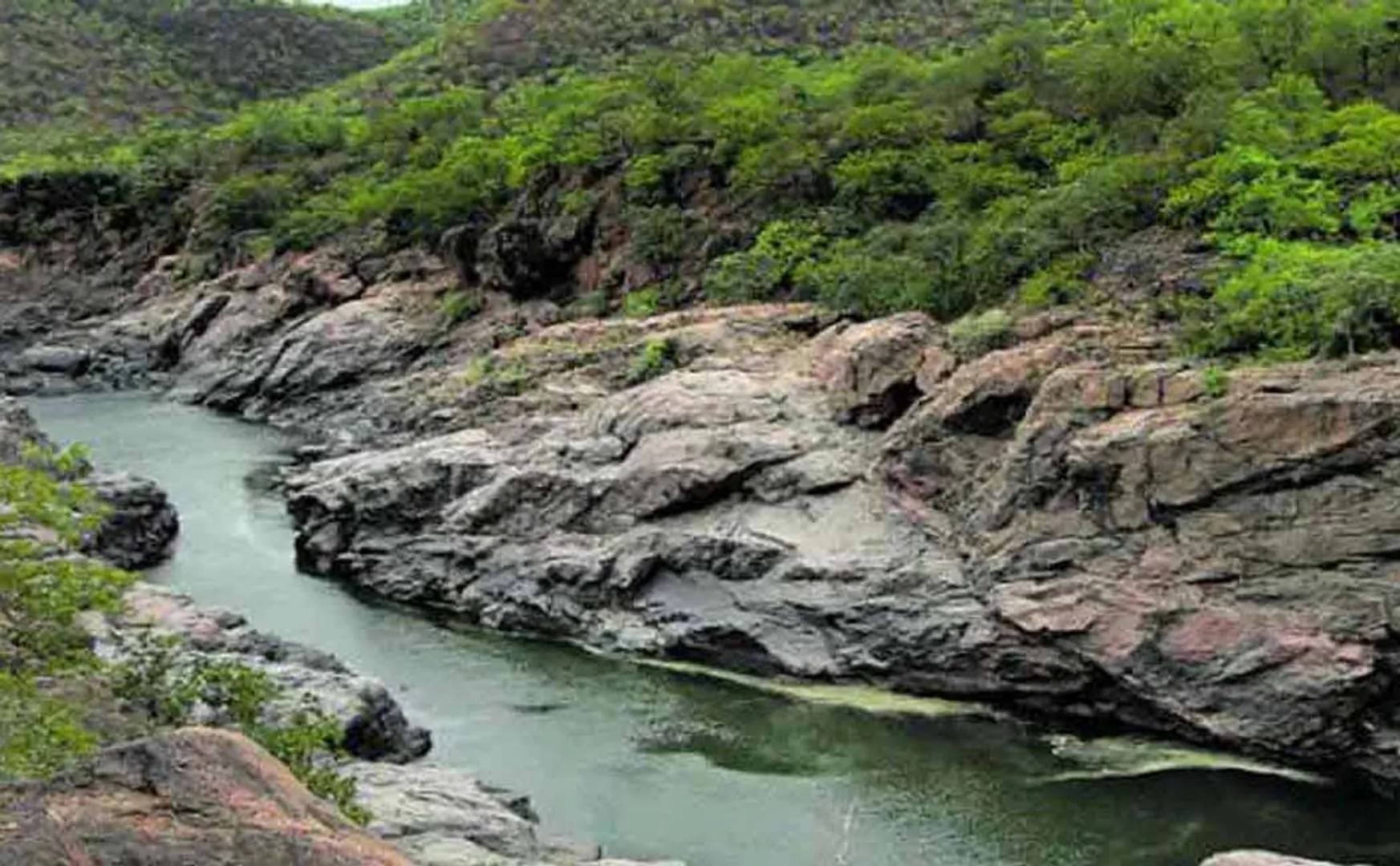 Petition of Tamil Nadu MPs to release water in Cauvery