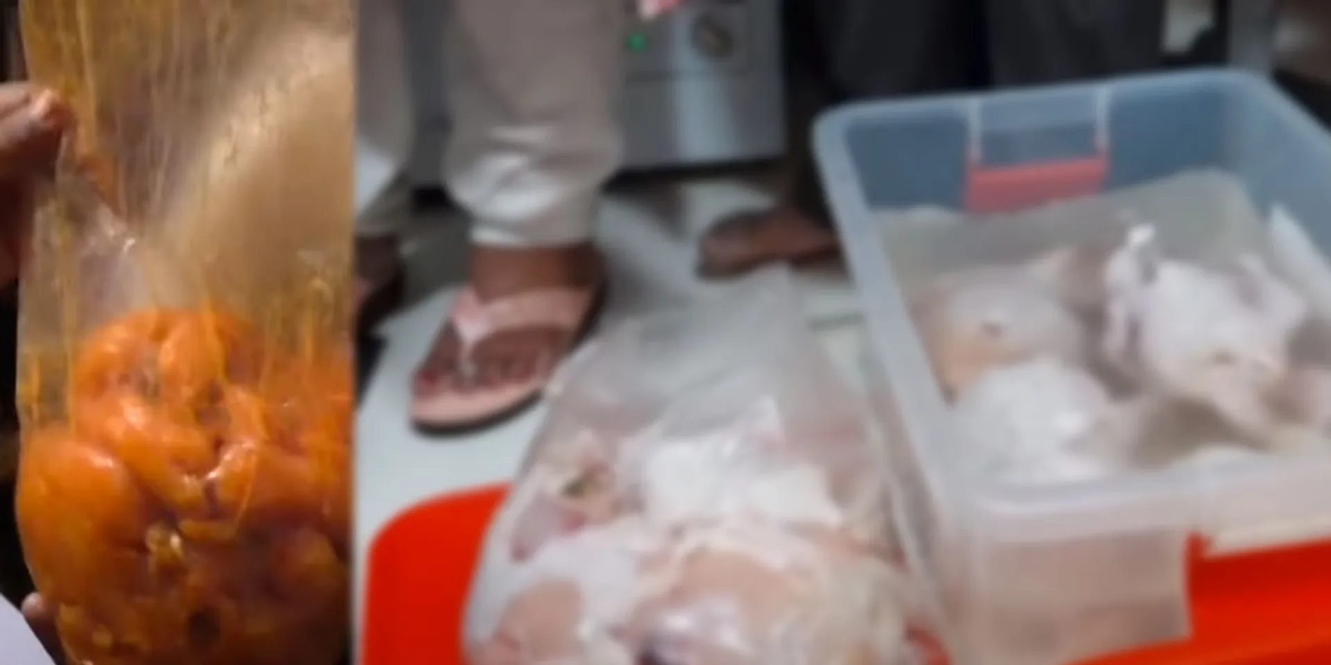  Shawarma Casualty Echo; Testing at multiple locations; Seizure of spoiled meat