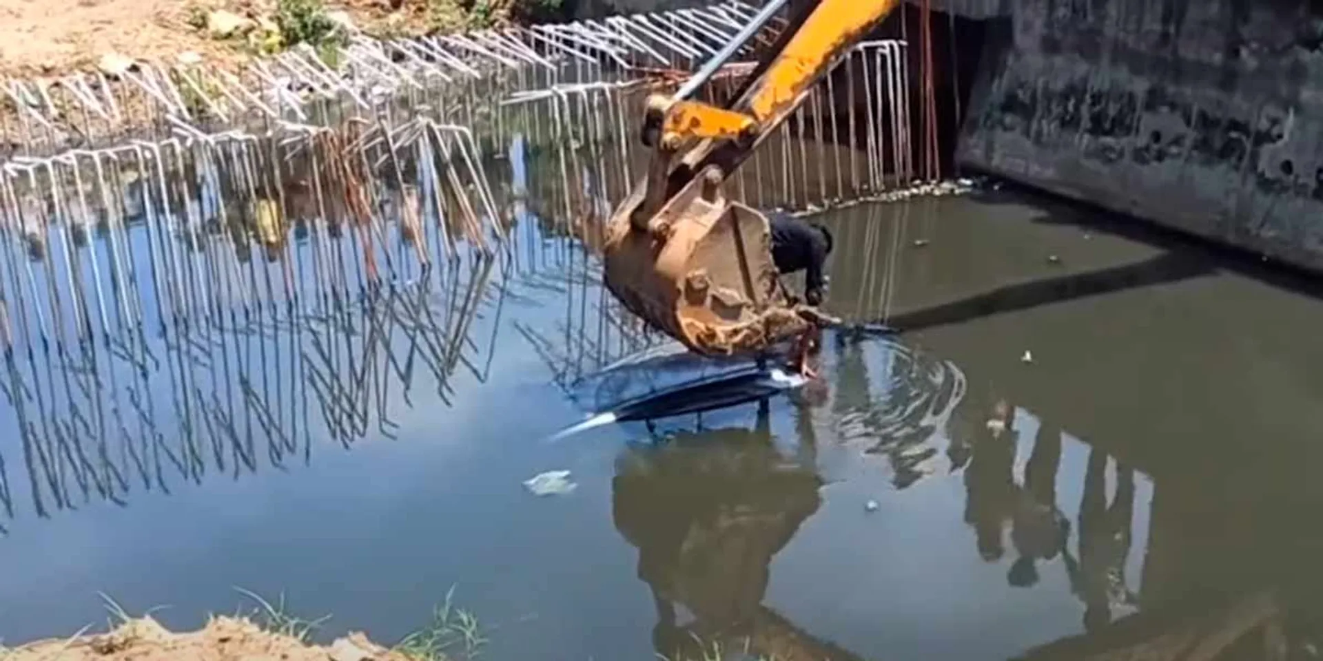 extreme speed; Excessive intoxication; The car crashed into the canal