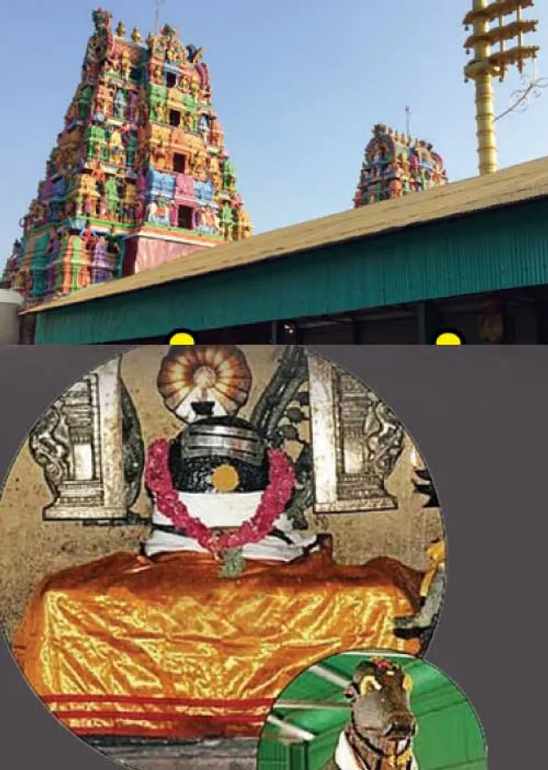 /idhalgal/balajothidam/healing-temple-9-vishu-iyer