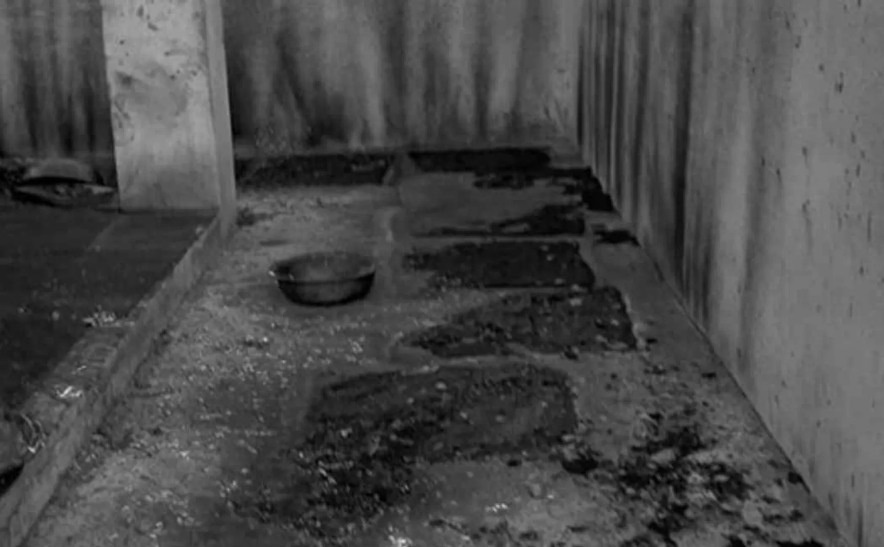  Fireworks Factory issue 3 incident