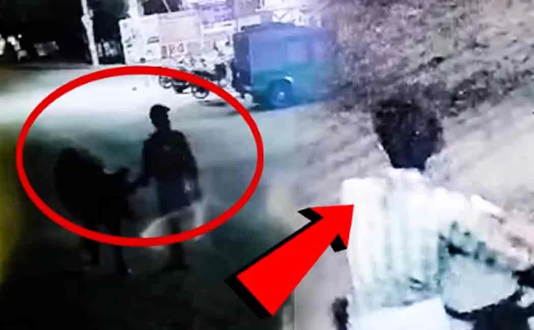  mysterious person who stole the grazing cattle